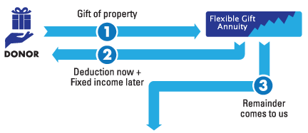 Flexible Gift Annuity Diagram